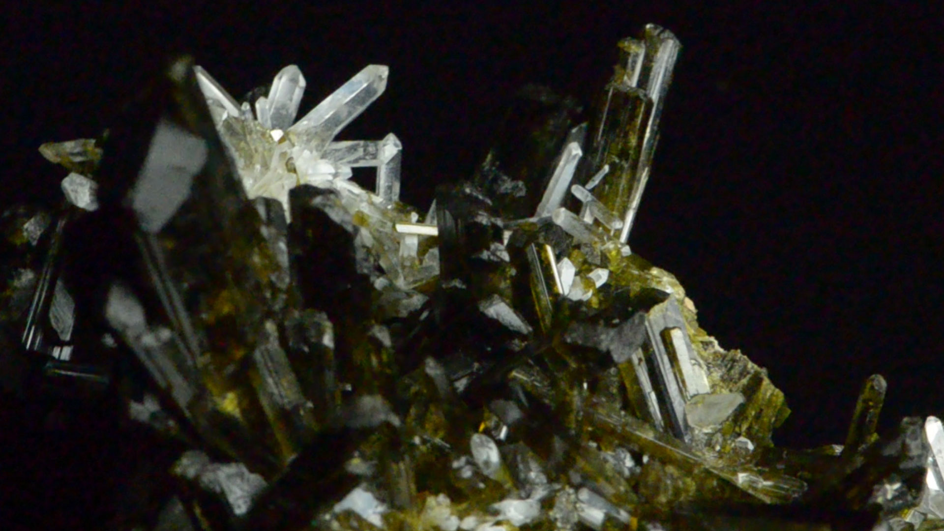 Epidote & Quartz from Peru: Towering Green Crystals & Sparkling Sprays